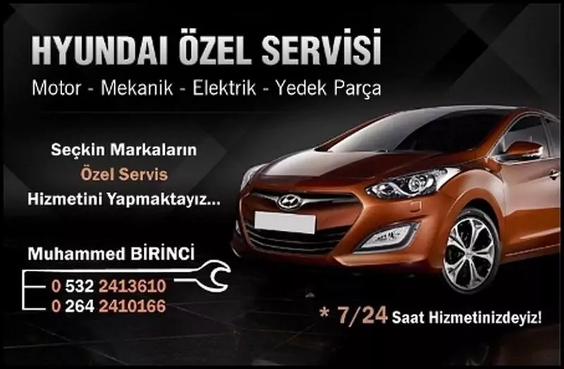 Hyundai Özel Servis Image